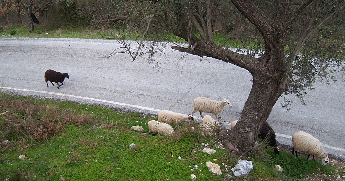 from mesi 13 100_2158.jpg - 271864 Bytes